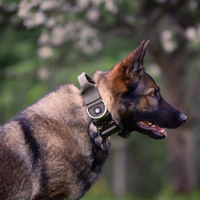 Salmiakkitassu Cobra-kahvapanta 50 mm, oliivi