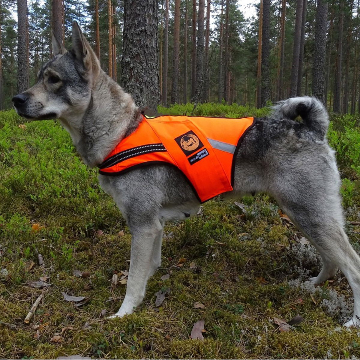 Kardog Floatable vest Jeri