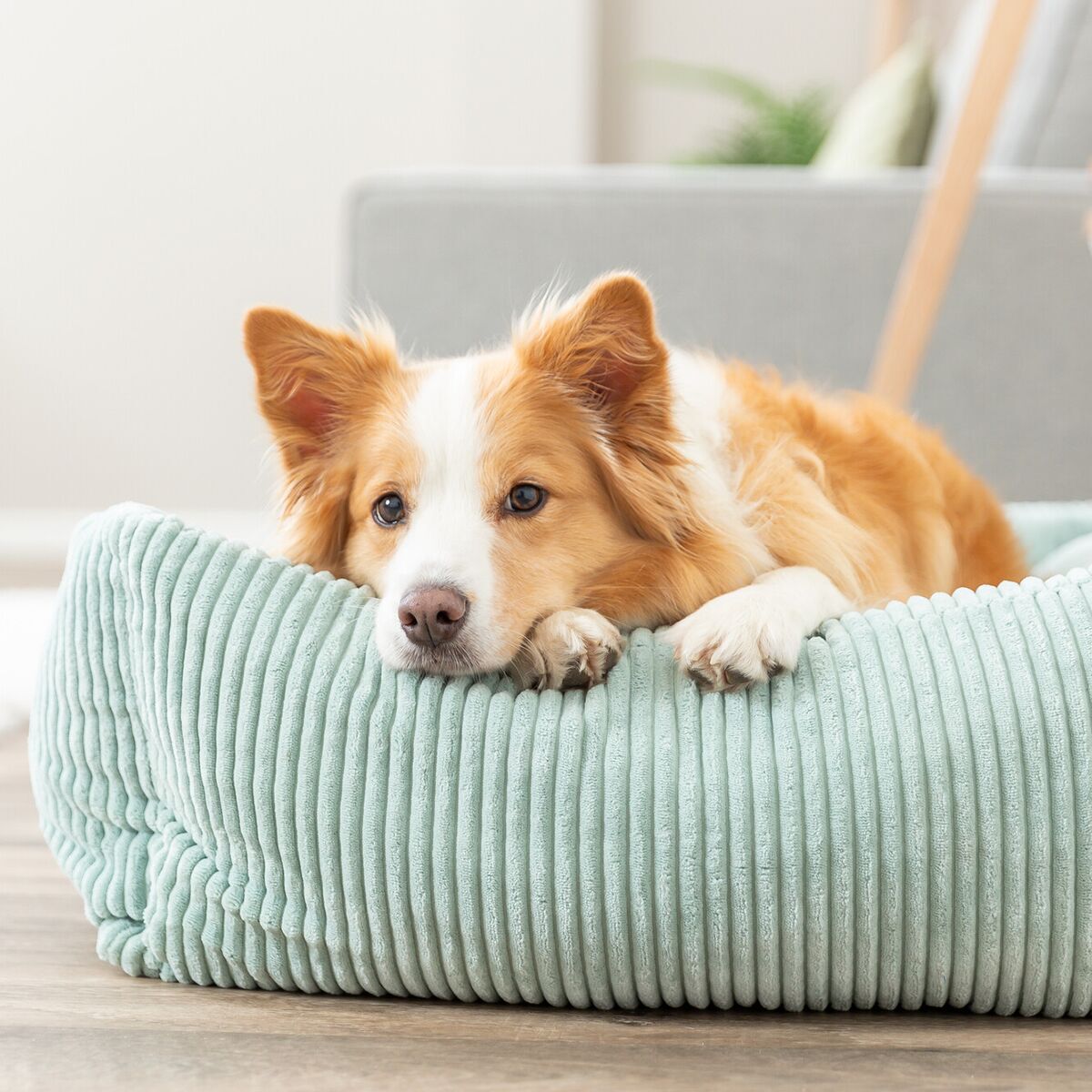 TR Vital Bed Jonna Sage