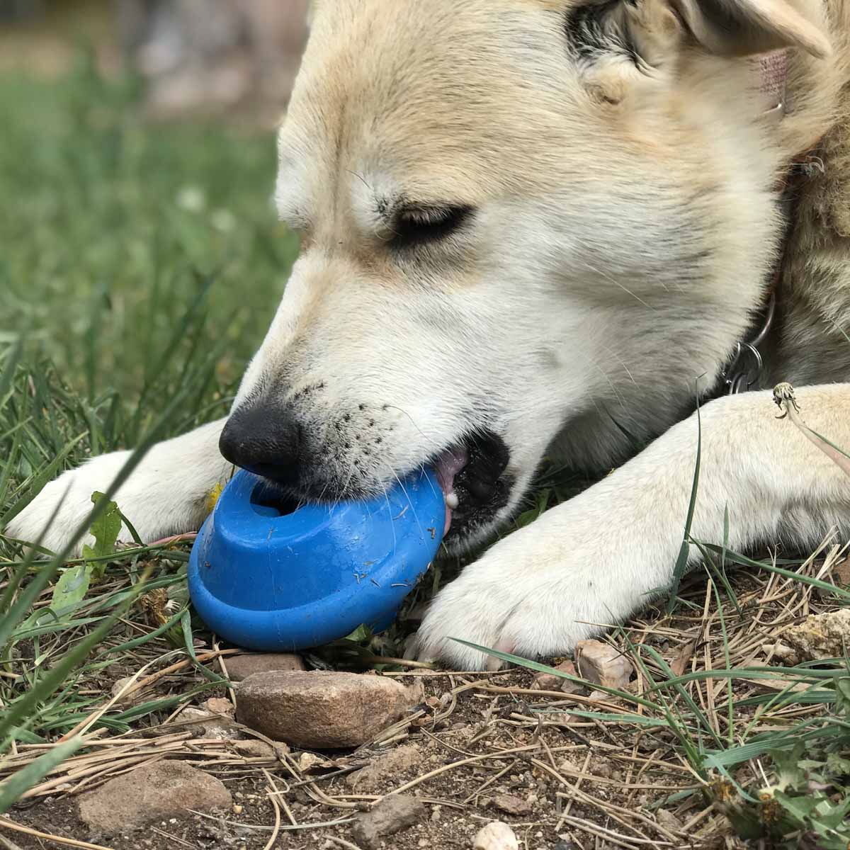 SodaPup Flying Saucer sininen