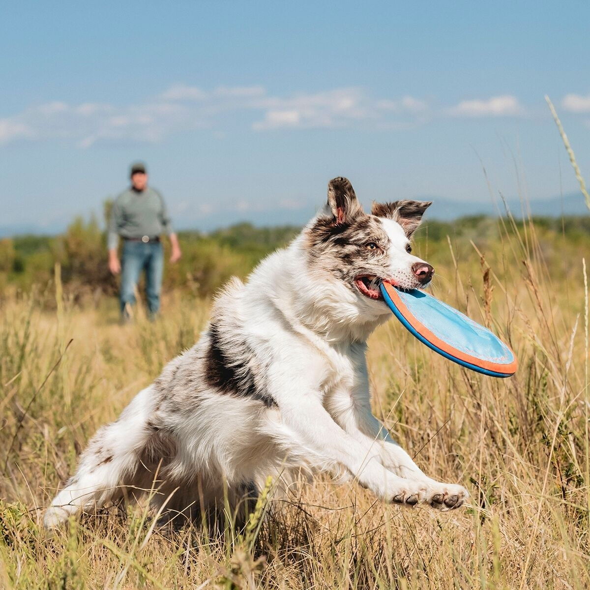 Chuckit MaxGlow Paraflight  