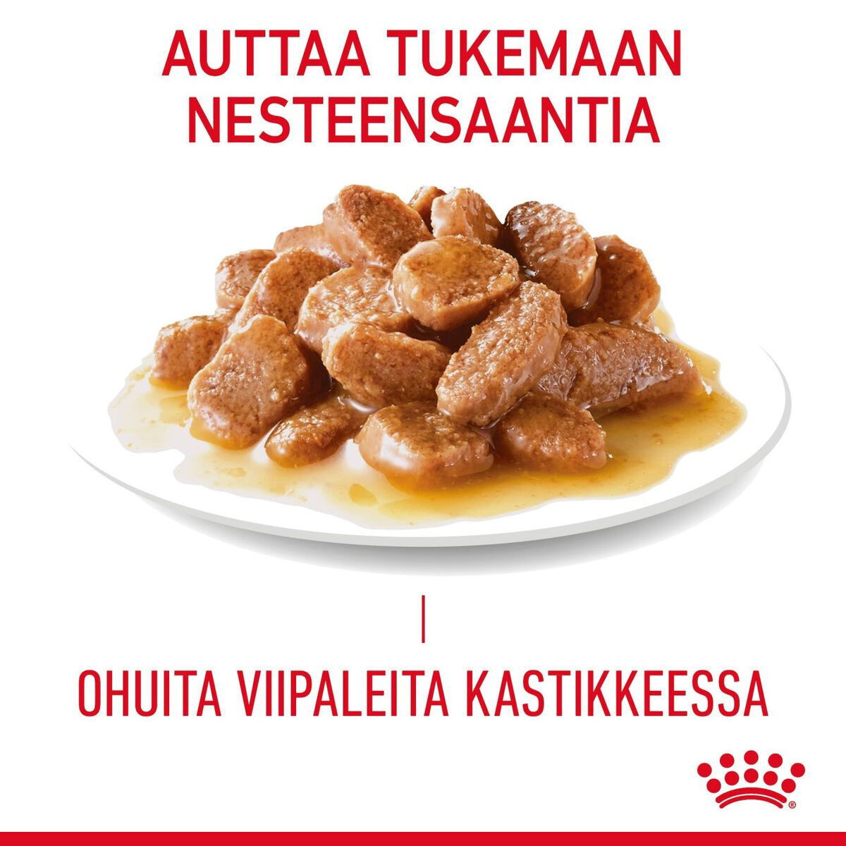 Royal Canin Hairball Care Gravy Adult kissan märkäruoka