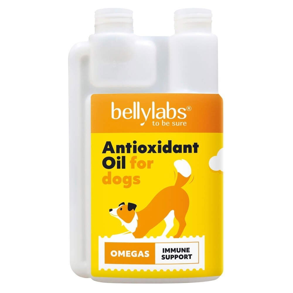 Bellylabs Antioxidantti öljy 250 ml