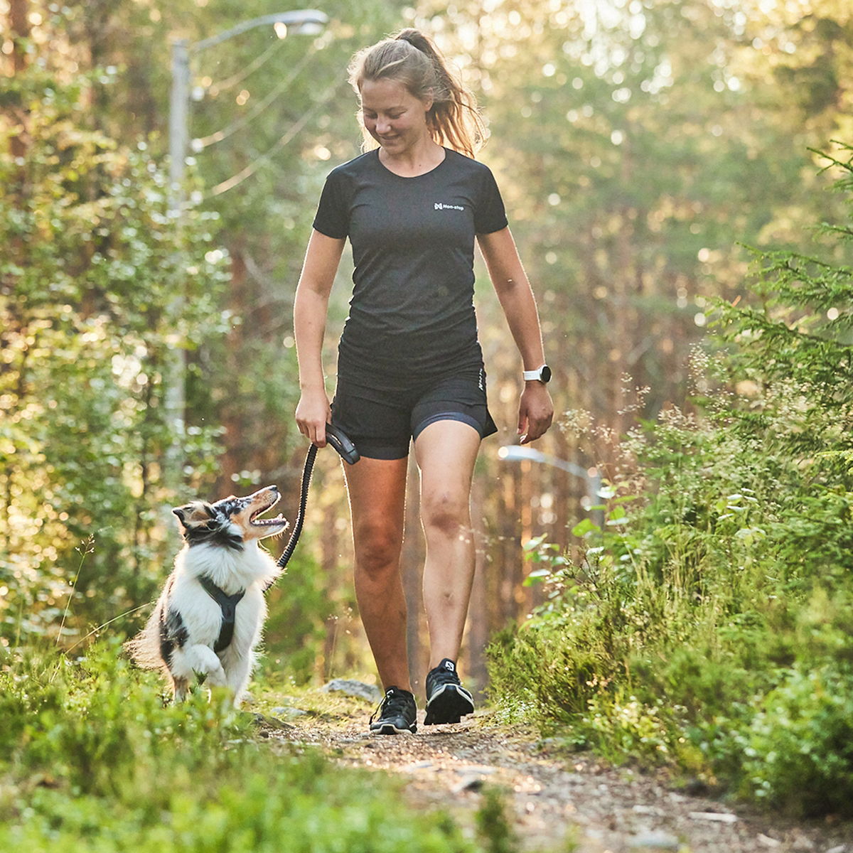 Non-stop Line harness 5.0 koiran valjas