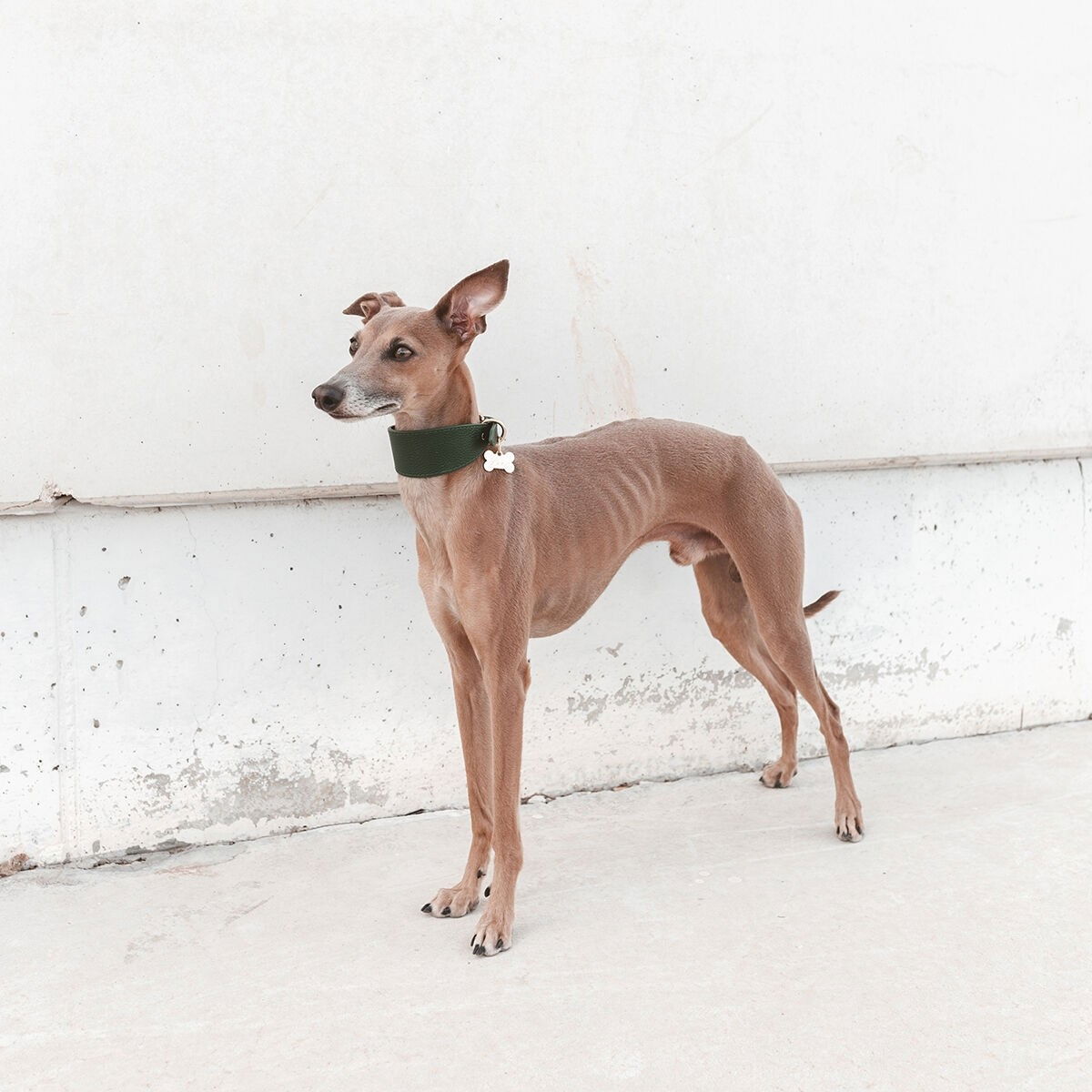 Collar of Sweden Dark Green Collar Wide