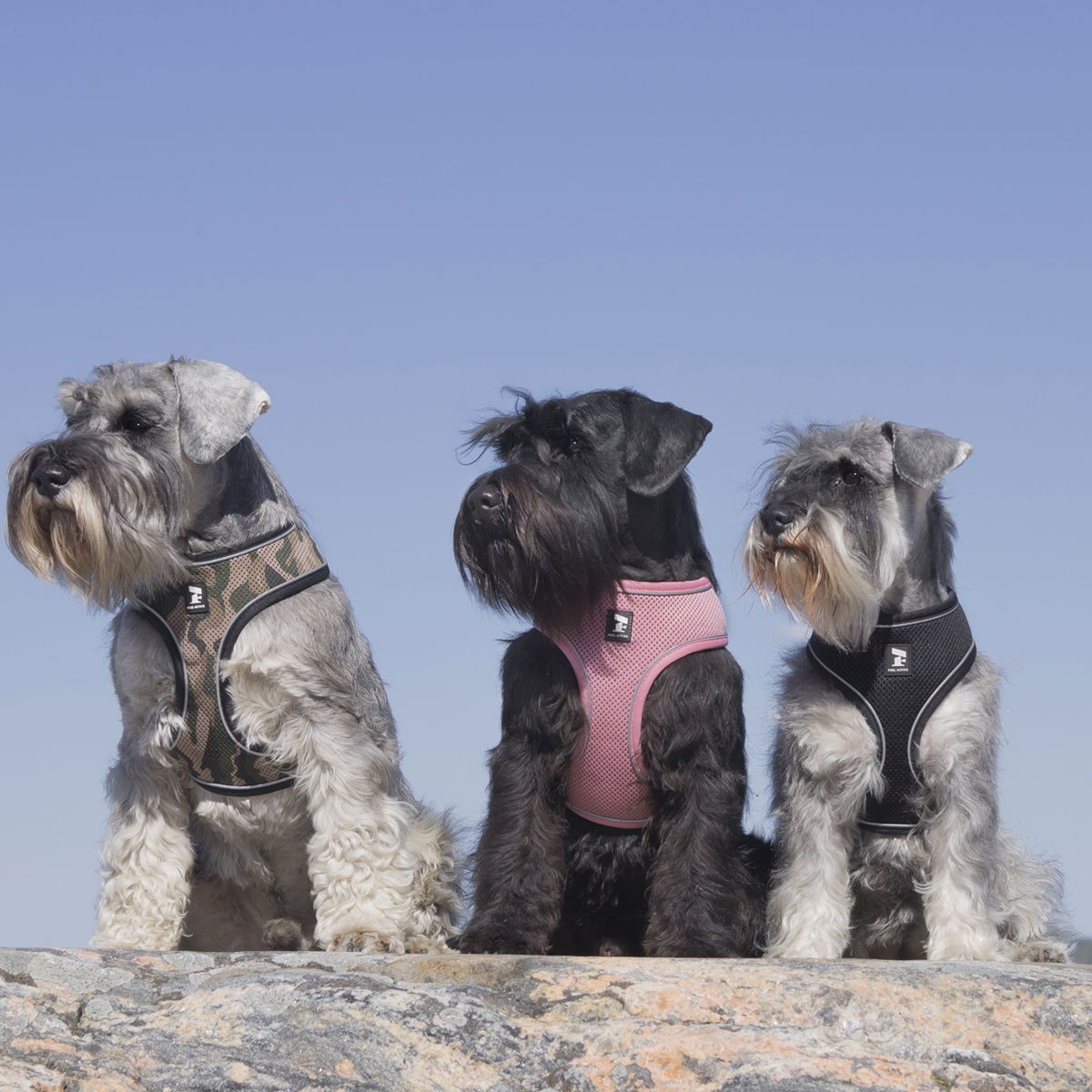 Feel Active Soft liivivaljas musta