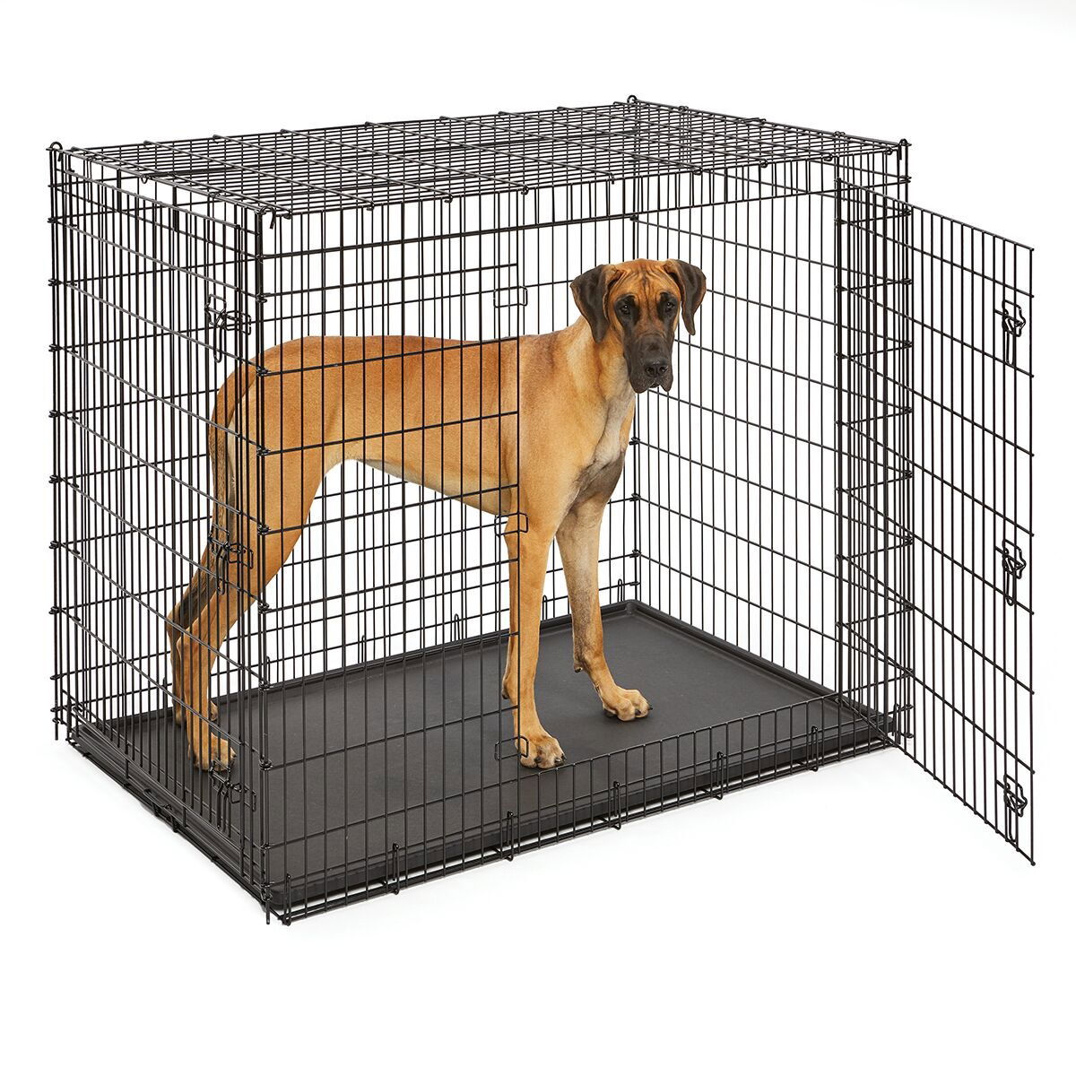 Midwest Solutions Dog Crate XXL