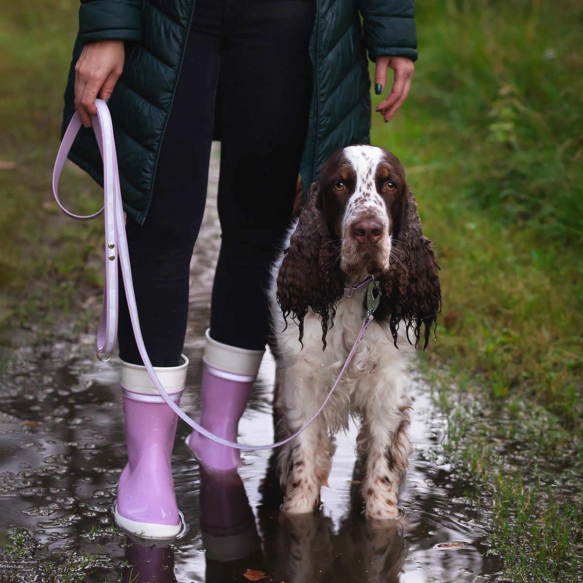 Tyylivoitto Shine EAZY reflective leash, lavender