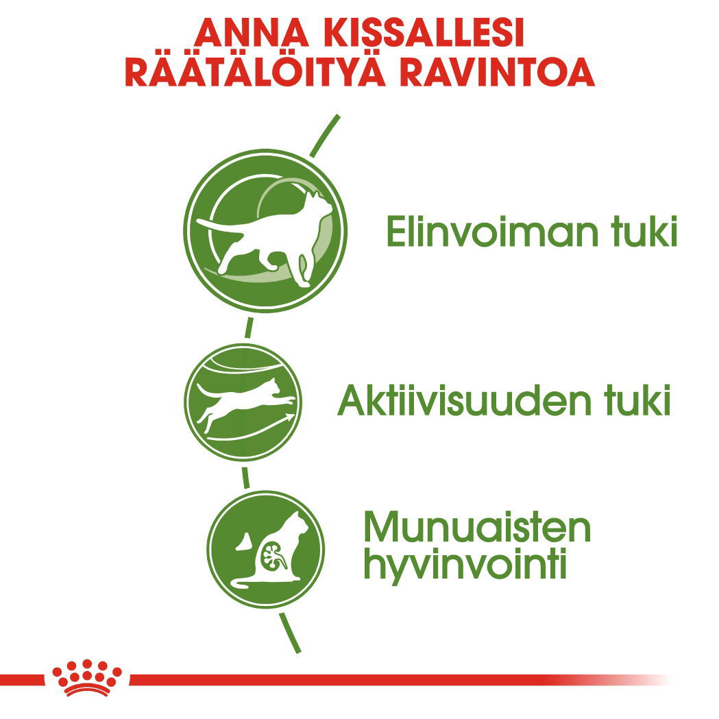 Royal Canin Outdoor 7+ Ageing kissan kuivaruoka