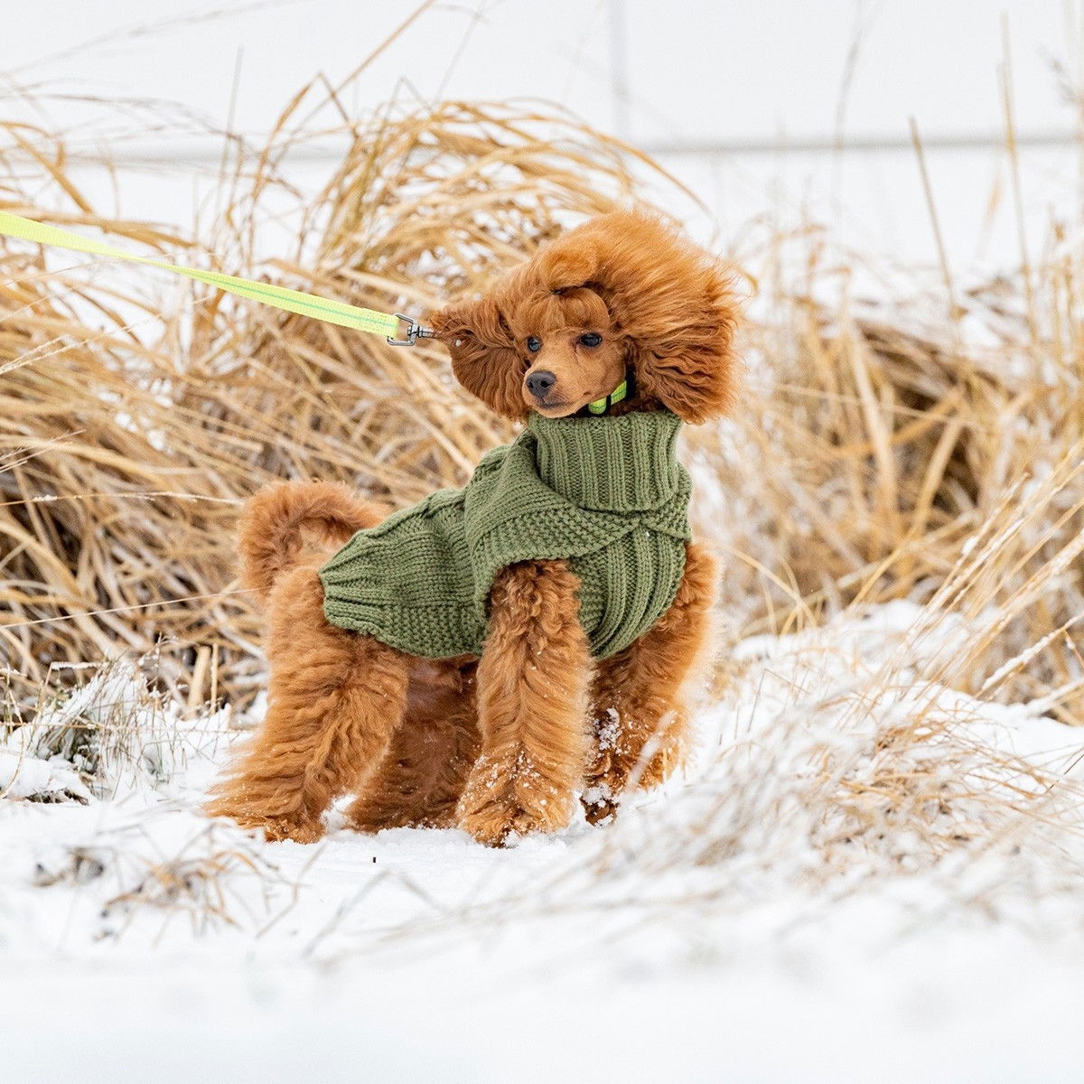 Rukka Wooly neule, oliivi