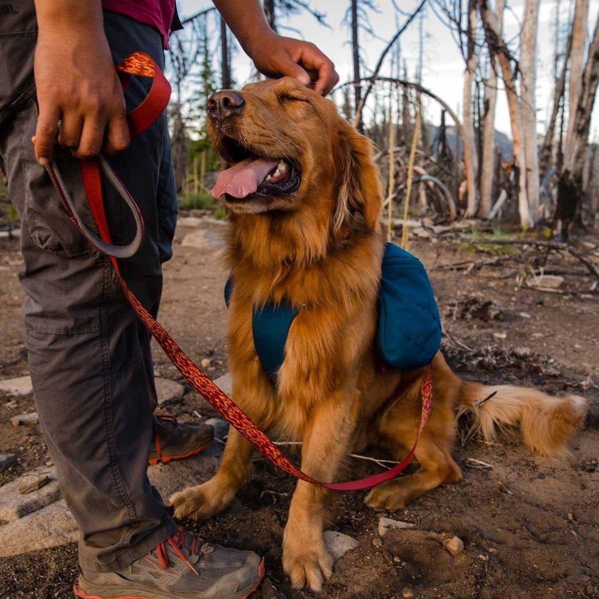 Koiran reppu Ruffwear Front Range, sininen