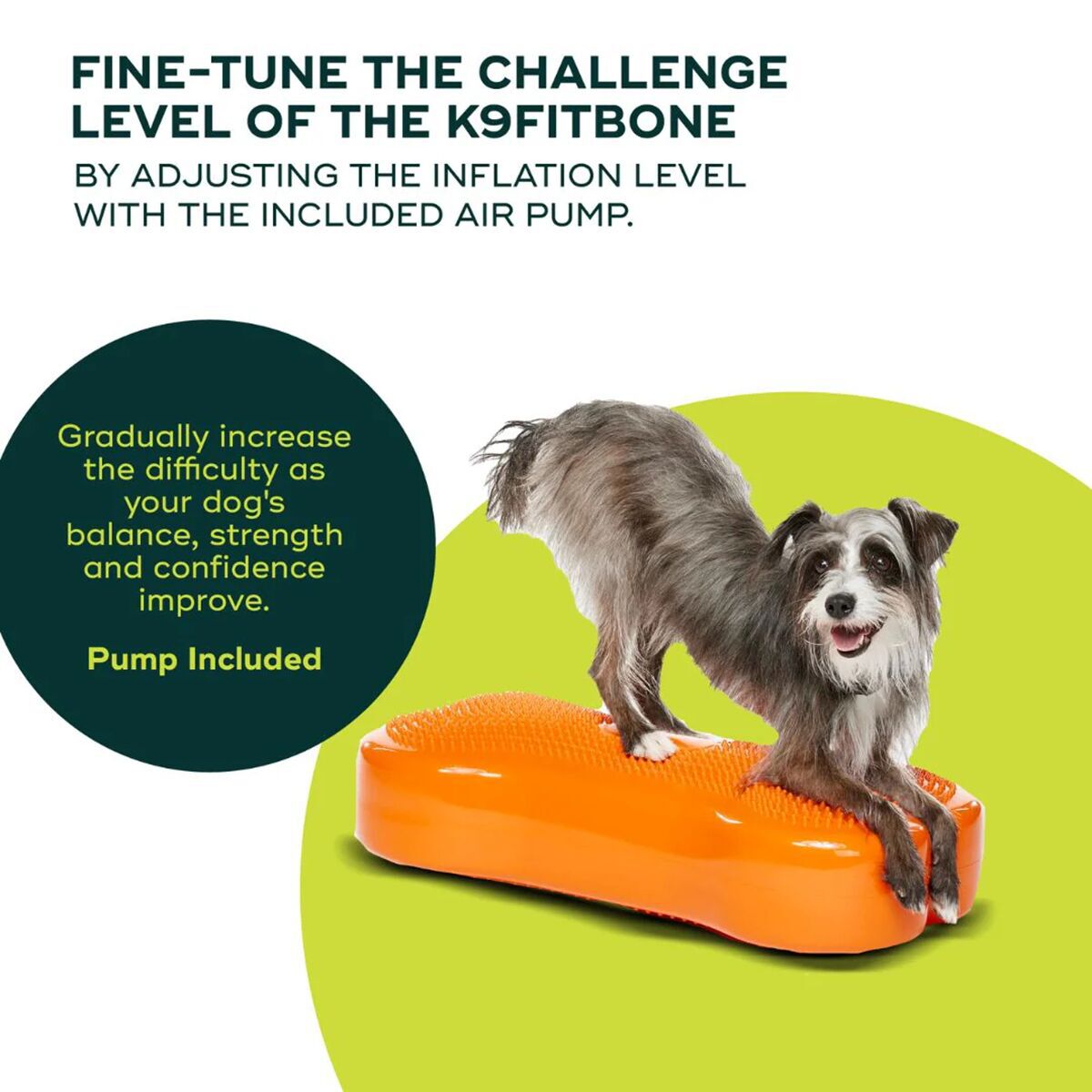 FitPaws K9FitBone