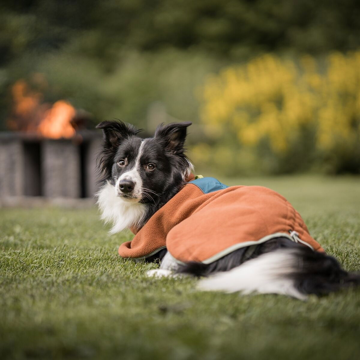 Woolly Wolf Alpha 360 Fleece pullover, Terracotta Mix