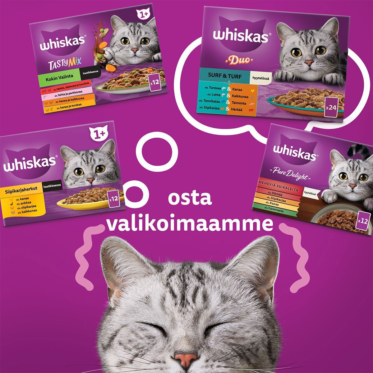 Whiskas 1+ gravy 40x85g