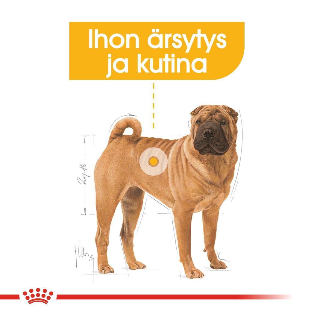 Royal Canin Dermacomfort Medium Adult koiran kuivaruoka
