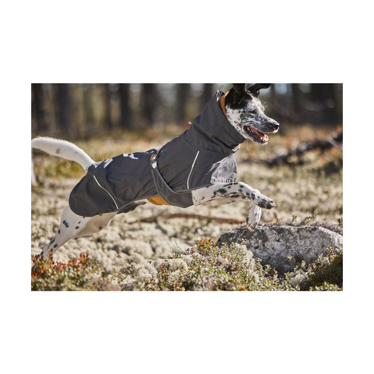 Hurtta Mudventure ECO sadetakki harmaa