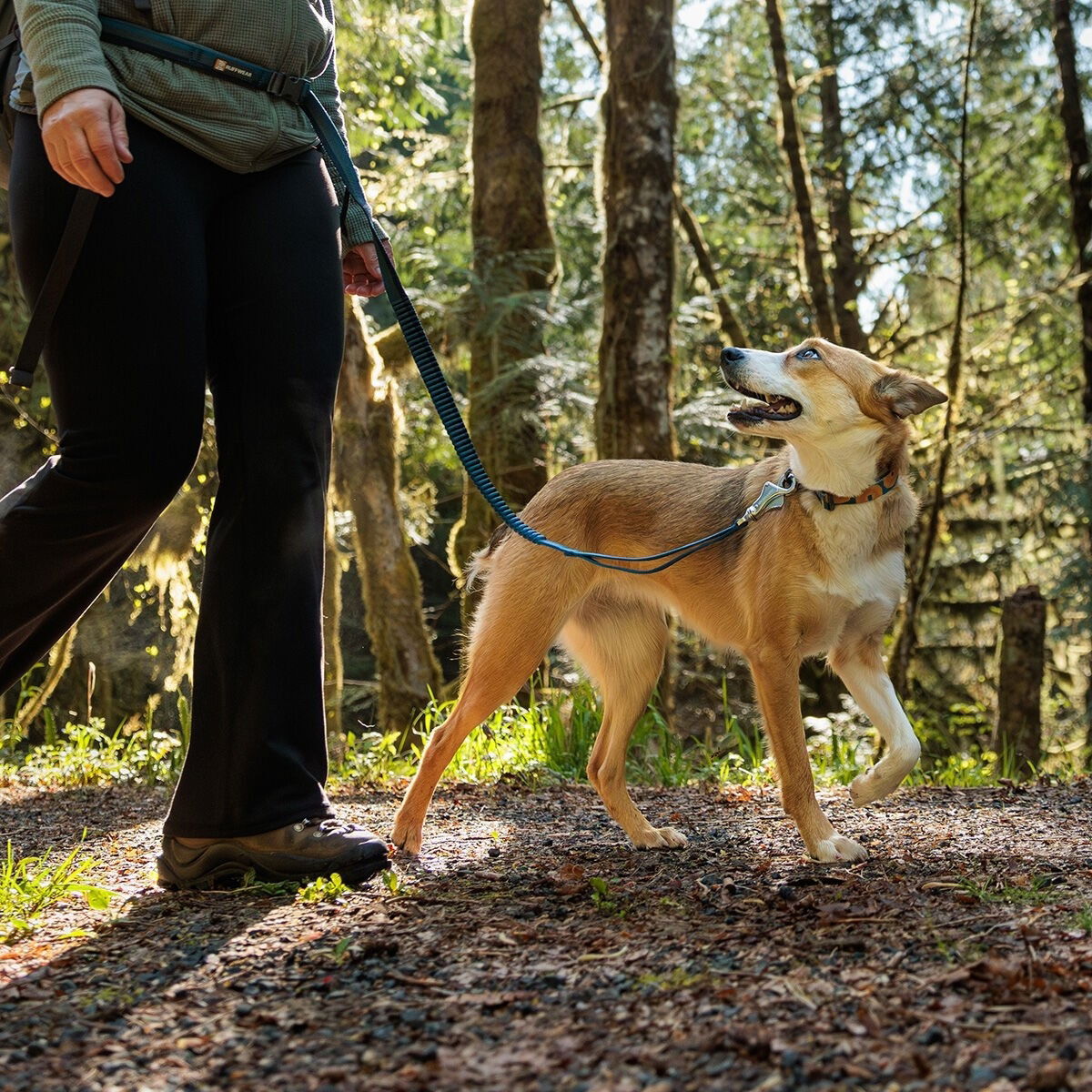 Ruffwear Roamer Leash River Rock Green