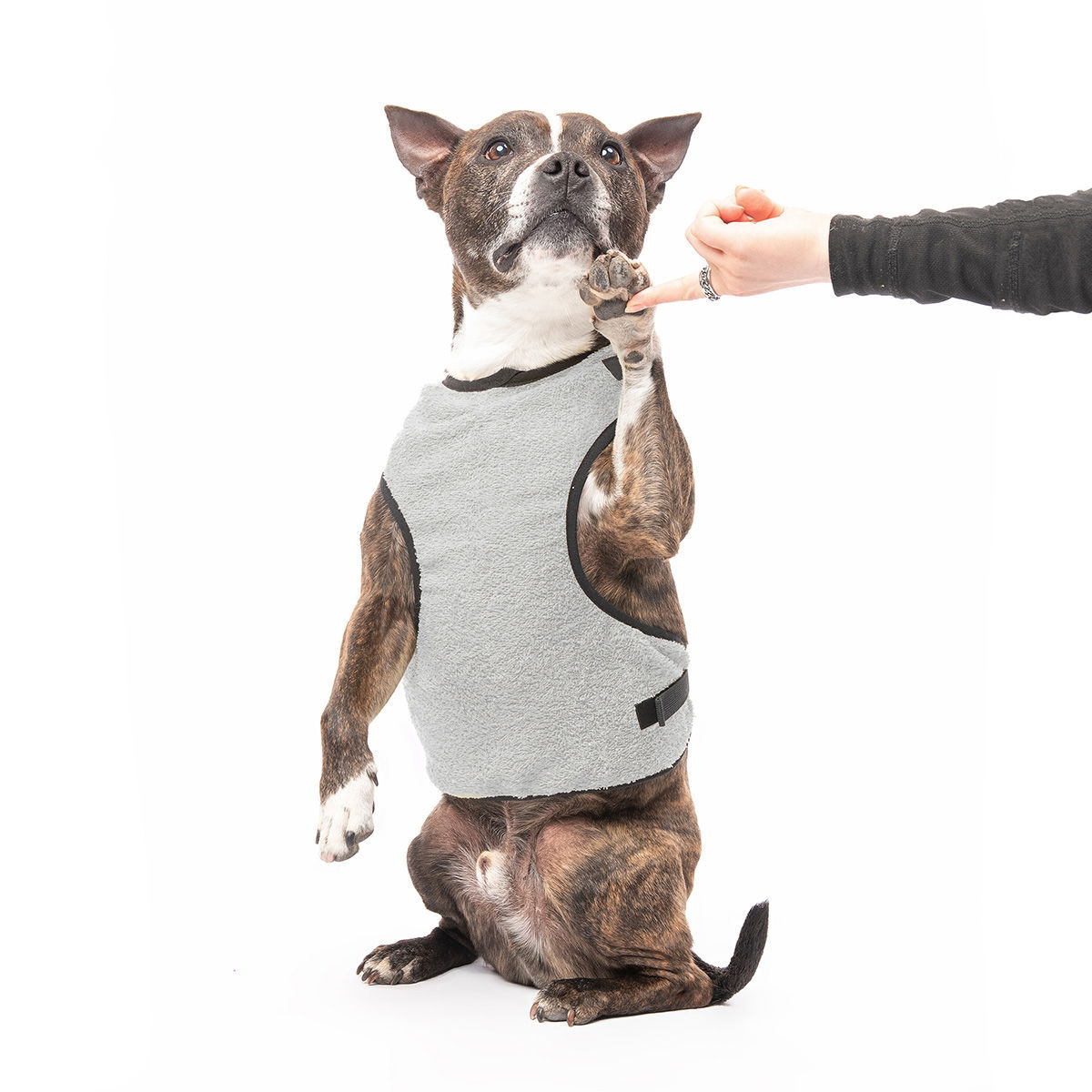 RuttuNuttu Masukki, harmaa