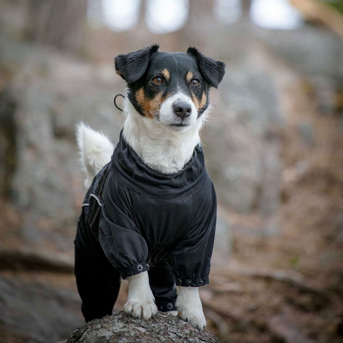 Feel Active Nimble haalari musta