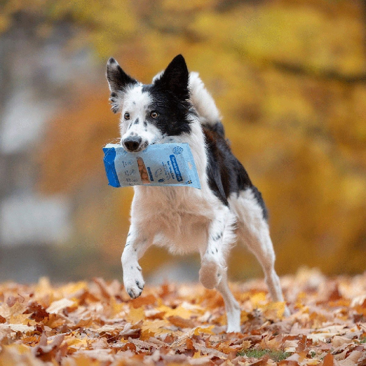 Buddy Freeze-dried Turkey&Fish 100g