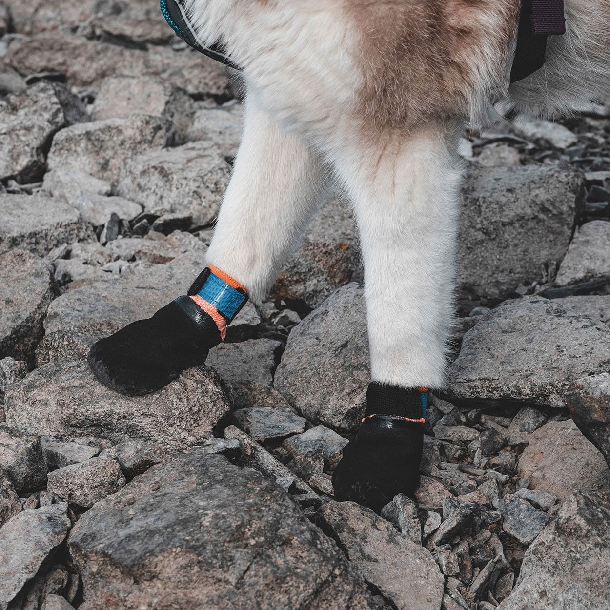 non-Stop Protector tossu musta/oranssi