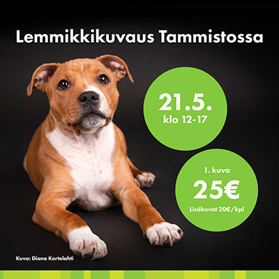 Lemmikkikuvaus Tammistossa